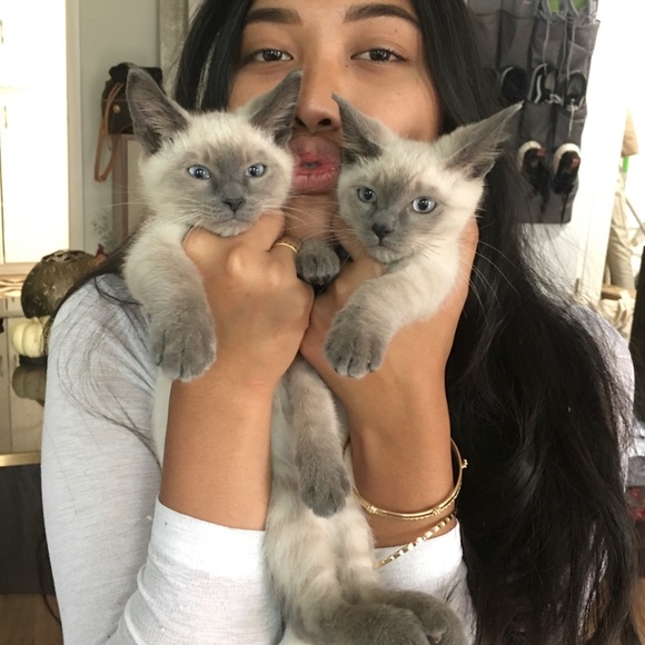 Come & Join me when I’m LIVE🦋🦋🦋 - Picture 3 of 16